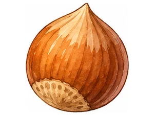 N - nut