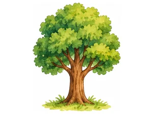 T - tree