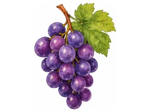 grapes