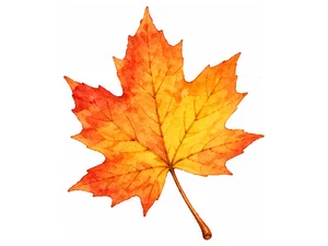 Leaf - лист