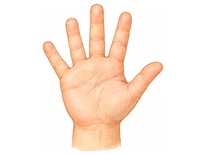 a hand