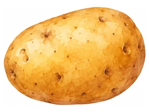 potato