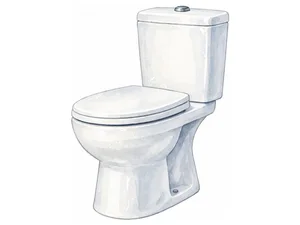 a toilet